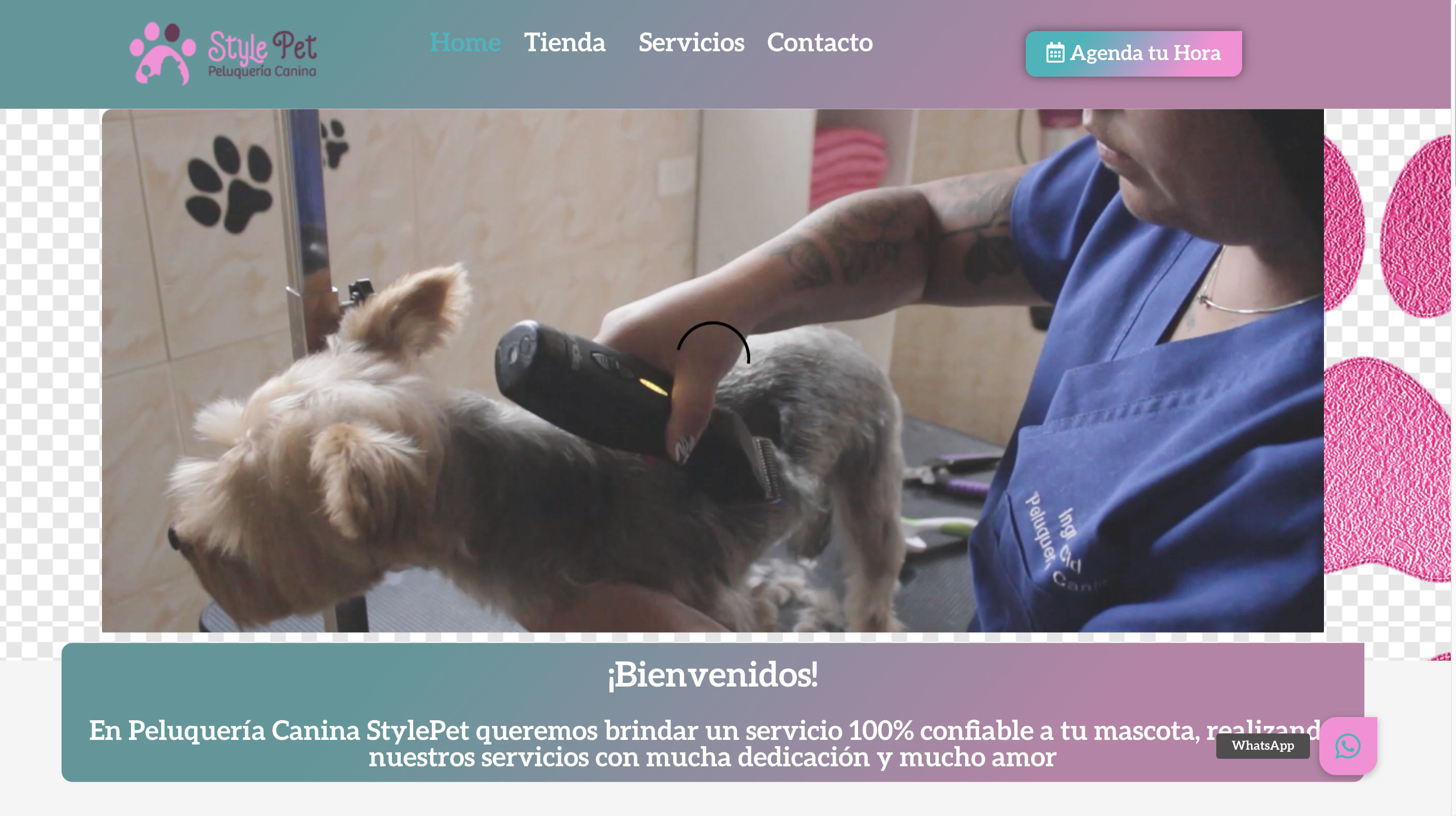 sitio web stylepet.cl
